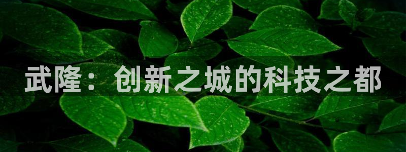 曼巴门徒娱乐圈：武隆：创新之城的科技之都