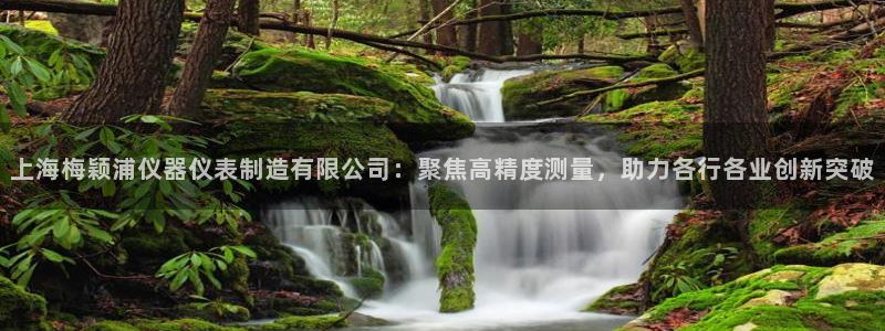 拉菲门徒娱乐：上海梅颖浦仪器仪表制造有限公司：聚焦高精度测量