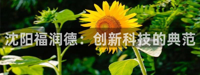 门徒娱乐平台真的假的啊：沈阳福润德：创新科技的典范