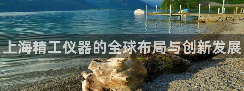 门徒娱乐官方网站地址在哪：上海精工仪器的全球布局与创新发展