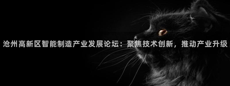 门徒娱乐线路图片：沧州高新区智能制造产业发展论坛：聚焦技术创