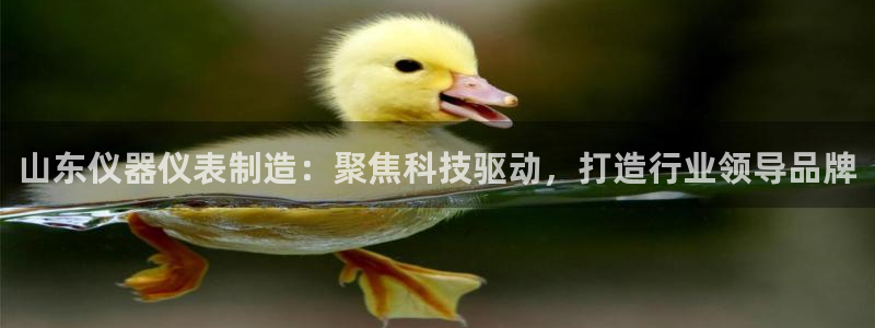 门徒娱乐的客服服务：山东仪器仪表制造：聚焦科技驱动，打造行业