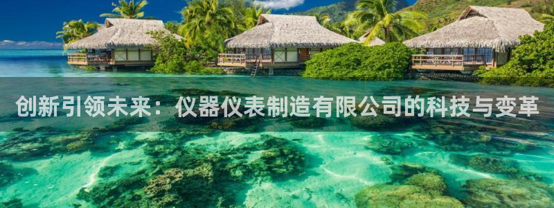 门徒娱乐属于哪个系列：创新引领未来：仪器仪表制造有限公司的科