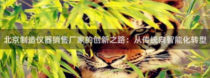 门徒娱乐官网登录不了吗：北京制造仪器销售厂家的创新之路：从传