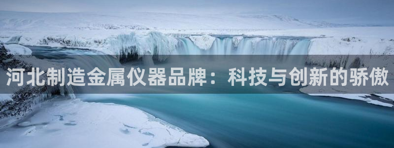 娱乐门徒小说免费下载：河北制造金属仪器品牌：科技与创新的骄傲