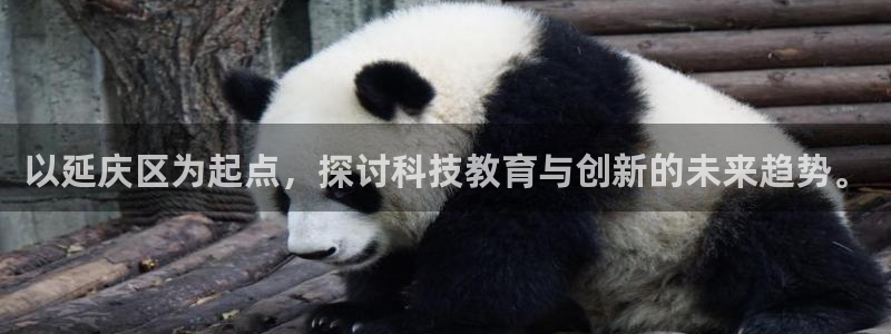 门徒娱乐-门徒平台：以延庆区为起点，探讨科技教育与创新的未来