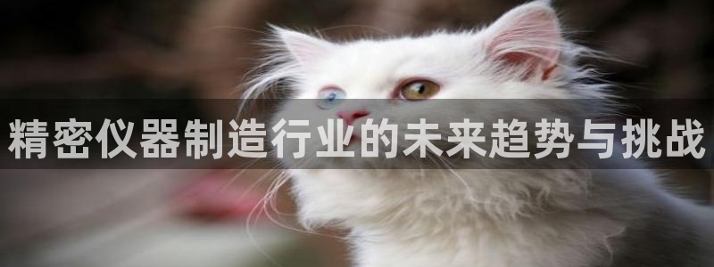 门徒娱乐场所开放时间表：精密仪器制造行业的未来趋势与挑战