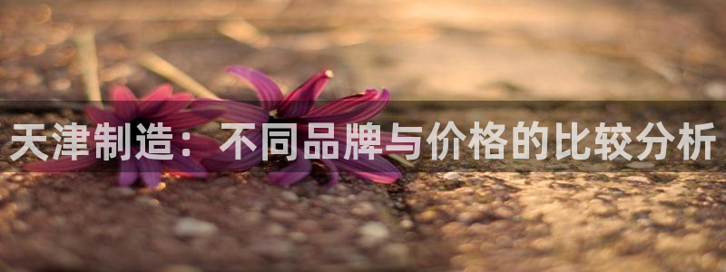 娱乐门徒 笔趣阁：天津制造：不同品牌与价格的比较分析