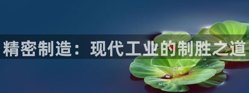 门徒 娱乐帝国：精密制造：现代工业的制胜之道