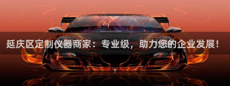 门徒娱乐 找86555：延庆区定制仪器商家：专业级，助力您的