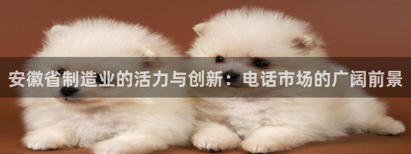 门徒娱乐是个什么软件啊：安徽省制造业的活力与创新：电话市场的