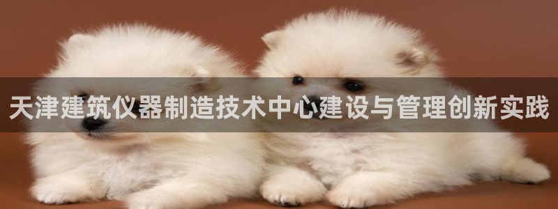 门徒娱乐平台下载手机版：天津建筑仪器制造技术中心建设与管理创