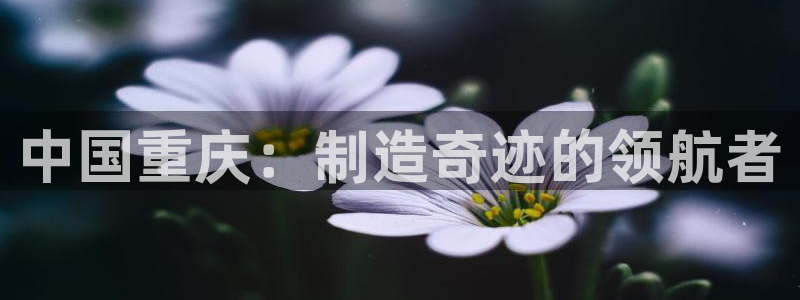 门徒娱乐怎么挂机赚钱：中国重庆：制造奇迹的领航者