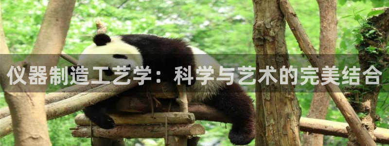 门徒娱乐做什么的：仪器制造工艺学：科学与艺术的完美结合