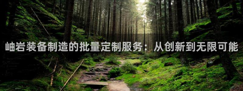门徒娱乐注册官网：岫岩装备制造的批量定制服务：从创新到无限可