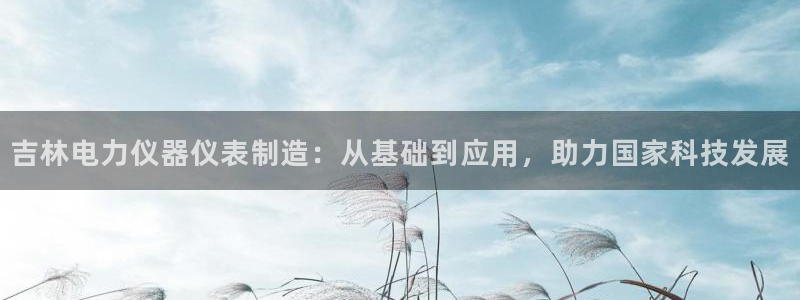 门徒娱乐在线下载观看：吉林电力仪器仪表制造：从基础到应用，助